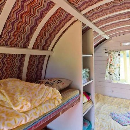 Clissmann Horse Caravans Glamping Ратдрам Экстерьер фото