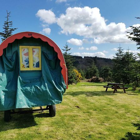 Clissmann Horse Caravans Glamping Ратдрам Экстерьер фото