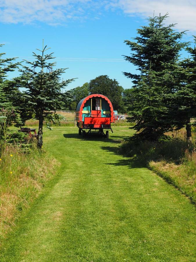 Clissmann Horse Caravans Glamping Ратдрам Экстерьер фото