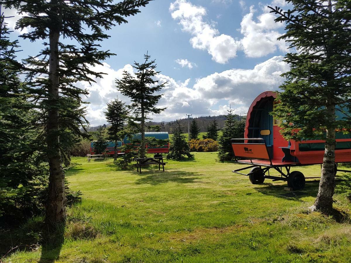Clissmann Horse Caravans Glamping Ратдрам Экстерьер фото