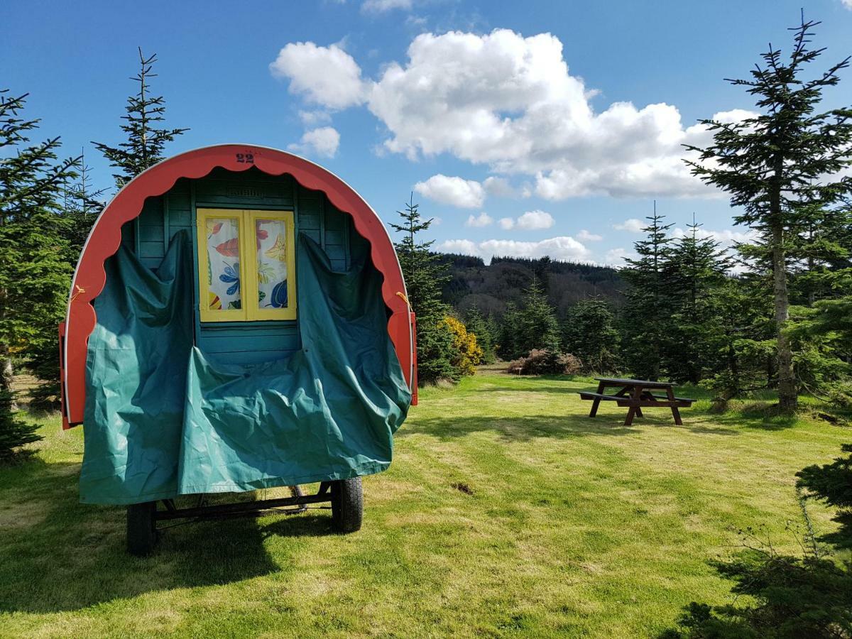 Clissmann Horse Caravans Glamping Ратдрам Экстерьер фото